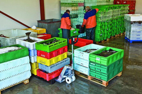 BT Lifter ausEdelstahl